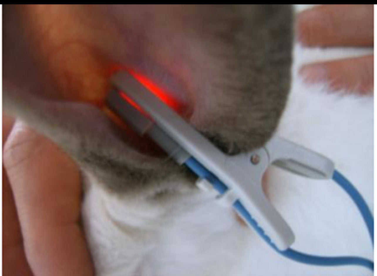 2.8” Handheld Veterinary Pulse Oximeter