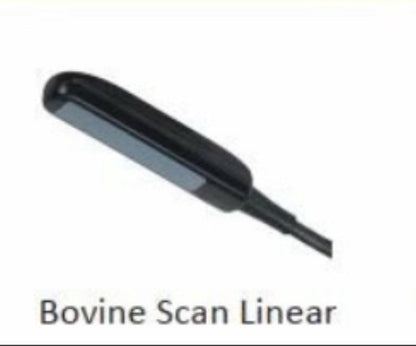 Bestscan S6 Compact Touch Veterinary Ultrasound - Rapid on-farm large animal diagnosis