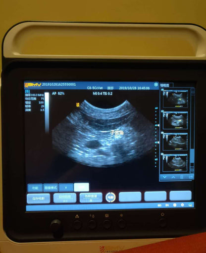 PT50A 15” Veterinary Touchscreen B/W Portable Ultrasound Scanner System