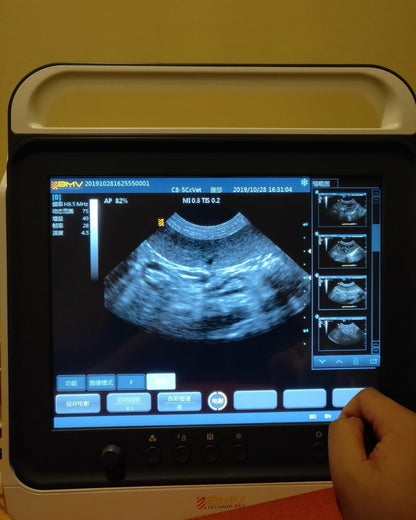 PT50A 15” Veterinary Touchscreen B/W Portable Ultrasound Scanner System