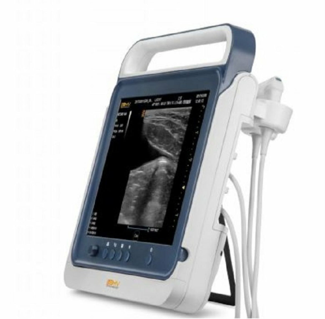 PT50A 15” Veterinary Touchscreen B/W Portable Ultrasound Scanner System