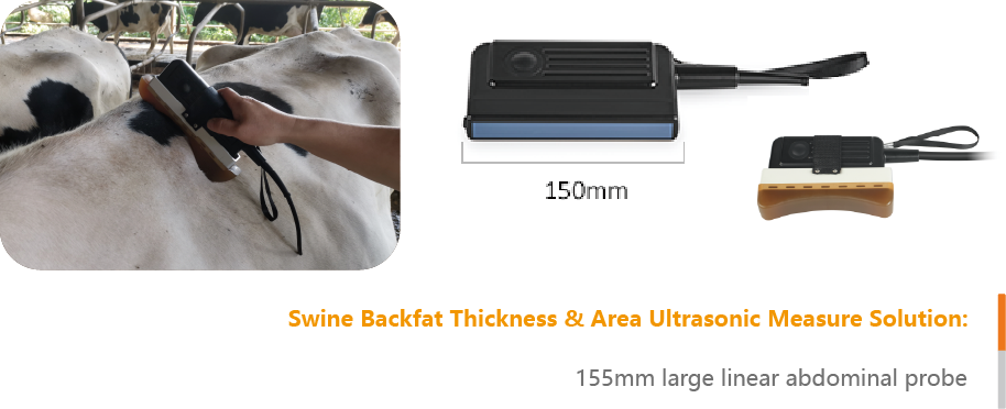 BestScan® S5 Ultrasound Machine - Back Fat for Swine / Ovine