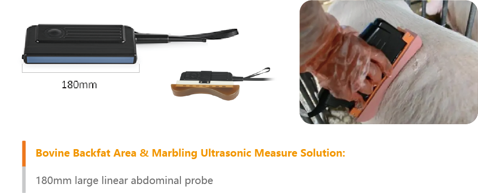 BestScan® S5 Ultrasound Machine - Back Fat for Swine / Ovine